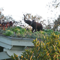 Roof top small