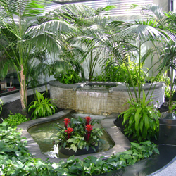indoor large
